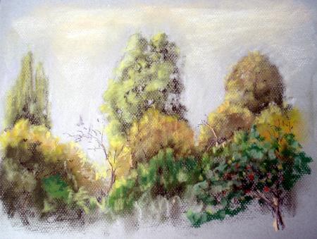 etude arbres