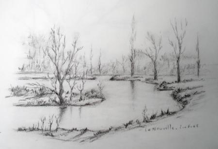 Etang dans la foret de la Neuville en Hez