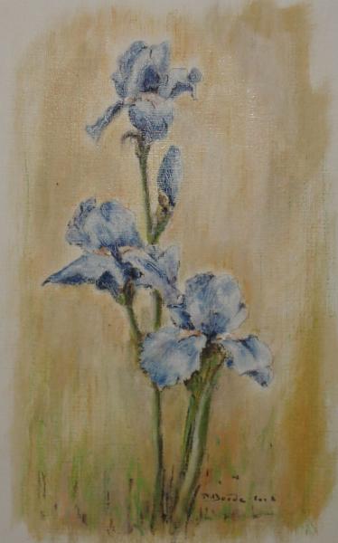 IRIS BLEU